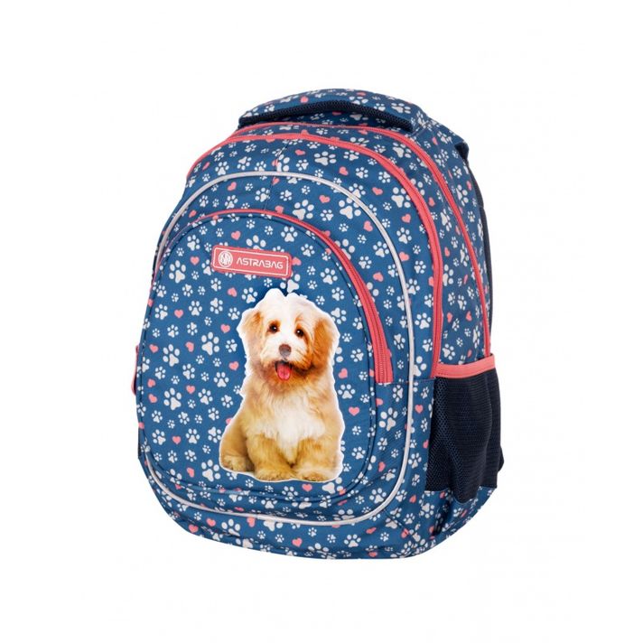 ASTRA - ASTRABAG Rucsac școlar pentru clasa I CUTE PUPPY, AB330, 502022140