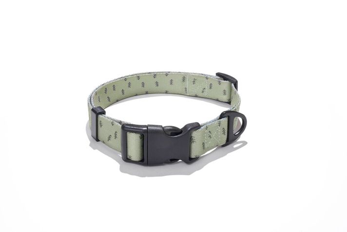 EXPLORER DOG - Colier Arbori S - 24-36x1, 5 cm