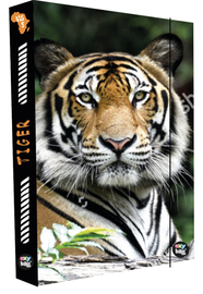KARTON PP - Cutie de caiet A4 Jumbo Tiger