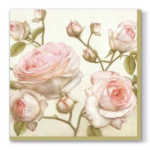 PAW - Șervețele L 33x33cm Beauty Roses