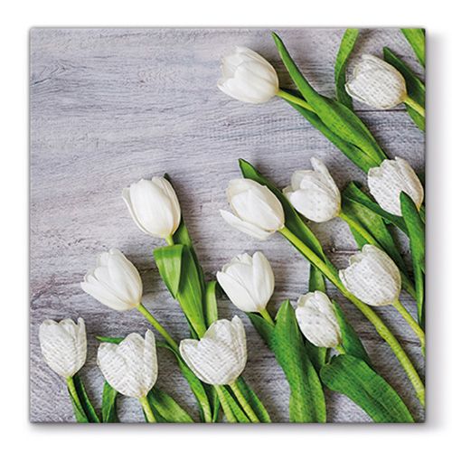 PAW - Șervețele L 33X33cm White Tulips